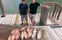 10-hour deep sea fishing trip from Tampa Bay