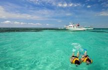 4-hour powerboat rental in Key Largo
