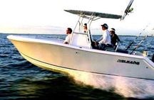 4-hour powerboat rental in Key Largo