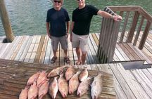 8-hour deep sea fishing trip from Tampa Bay