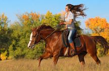 One-hour Western trail ride by horse in Salt Lake City