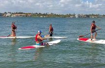 Private Miami stand-up paddleboarding lesson and rental