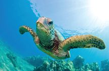 Hawaii snorkeling excursion with lunch