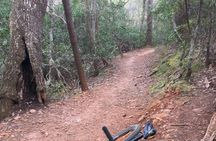 1-4 Day North Pisgah Mountain Bike Tour in Asheville