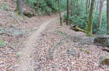 1-4 Day North Pisgah Mountain Bike Tour in Asheville