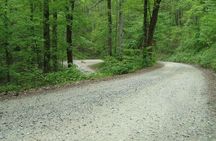 Asheville Full Day-Gravel Grinder Guided Tour