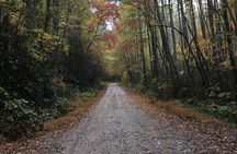 Asheville Full Day-Gravel Grinder Guided Tour