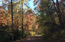 Asheville Full Day-Gravel Grinder Guided Tour