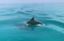 Private morning Key West cruise