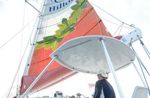 Catamaran tour along the Waikiki coast