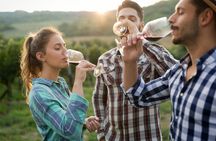 Full-Day Escape Three Wineries & Lunch Tour in Portland