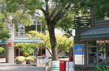 Seattle neighborhoods guided tour with transportation