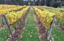 Fraser Valley guided wine tour in Vancouver