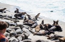 La Jolla self-guided driving tour
