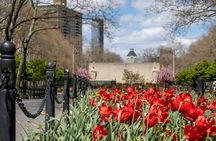 Brooklyn Heights and Dumbo self-guided walking audio tour in New York