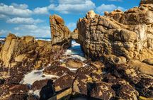Scenic 17-Mile self-guided driving tour in Monterey