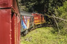 Skunk Train Pudding Creek Express tickets in Fort Bragg, CA