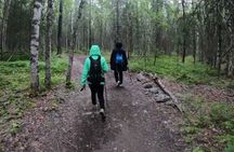 Chugach State Park summer valley and forest hike