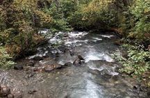 Chugach State Park summer valley and forest hike