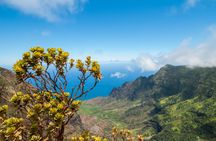 Na Pali and Waimea Self-Guided Driving Tour in Kauai