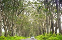 Na Pali and Waimea Self-Guided Driving Tour in Kauai