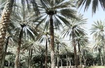 Private tour to Al Hajar villages and to Al Hoota cave from Muscat with lunch