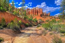 Half-day Horseback Riding Adventure at Bryce Canyon