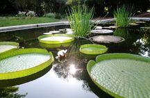 Private tour of Palermo, the Japanese and Botanical Gardens