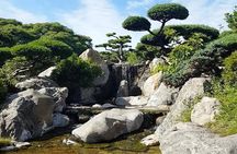 Private tour of Palermo, the Japanese and Botanical Gardens