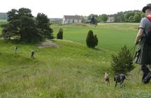 Guided nature tour with a Swedish picnic