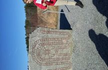 Guided nature tour with a Swedish picnic