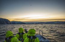 Alta fjord safari by RIB boat