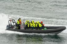 Alta fjord safari by RIB boat