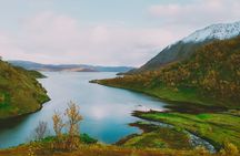 Seiland national park boat tour from Alta