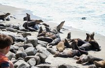 Ultimate La Jolla Self-Guided Combo Tour