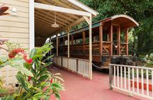Luau Kalamaku Premier Gold Package with Train Ride Experience