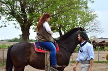Gaucho private excursion to an Argentinian Estancia from Buenos Aires