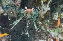Diving experiences and courses in Marsa Alam