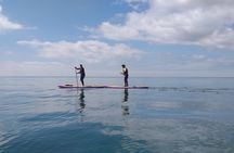 Experience a stand up paddle tour in Arrábida