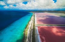 Discover Bonaire on a guided island tour