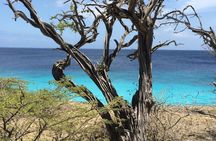 Discover Bonaire on a guided island tour