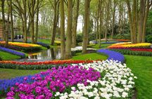 Shared tour of Delft and the Keukenhof Estate from Brussels