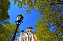 Private tour of Tallinn and the Estonian countryside