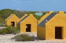 Discover Bonaire on a guided island tour