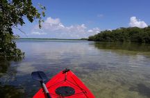 Lac Cai glass-bottom kayak and snorkel mangrove experience