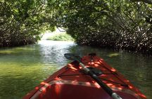 Lac Cai glass-bottom kayak and snorkel mangrove experience