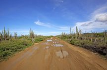 Guided tour to Washington-Slagbaai national park