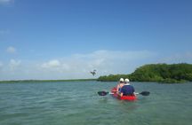 Lac Cai glass-bottom kayak and snorkel tour with transfer