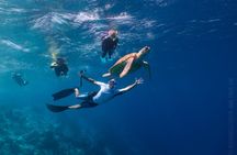 Woodwind sail and snorkel tour
