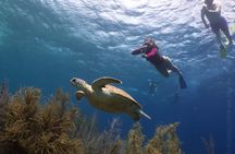 Woodwind sail and snorkel tour